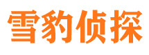 九龙坡市婚外情调查